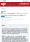 Ubiquitomics of CYLD-Deficient Skin Tumors Reveals Dysregulation of Hair Follicle Keratinocyte Processes