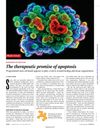 The Therapeutic Promise of Apoptosis