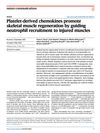 Platelet-Derived Chemokines Promote Skeletal Muscle Regeneration by Guiding Neutrophil Recruitment to Injured Muscles
