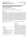 Intrauterine Botulinum Toxin A Administration Promotes Endometrial Regeneration Mediated by IGFBP3-Dependent OPN Proteolytic Cleavage in Thin Endometrium