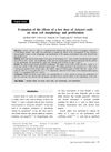 Evaluation of the Effects of a Low Dose on Stem Cell Morphology and Proliferation