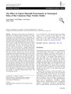 The Effect of Topical Minoxidil Pretreatment on Nonsurgical Delay of Rat Cutaneous Flaps: Further Studies