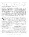 The mRNA for Protease Nexin-1 is Expressed in Human Dermal Papilla Cells and its Level is Affected by Androgen