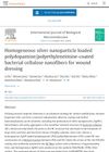 Homogeneous Silver Nanoparticle Loaded Polydopamine/Polyethyleneimine-Coated Bacterial Cellulose Nanofibers for Wound Dressing