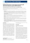 Scaling Dermatosis in Three Dogs Associated with Abnormal Sebaceous Gland Differentiation