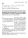 TCL1 Transgenic Mouse Model as a Tool for the Study of Therapeutic Targets and Microenvironment in Human B-Cell Chronic Lymphocytic Leukemia