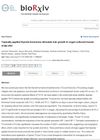 Topically Applied Thyroid Hormones Stimulate Hair Growth in Organ-Cultured Human Scalp Skin
