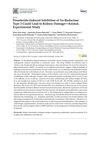Finasteride-Induced Inhibition of 5α-Reductase Type 2 Could Lead to Kidney Damage: An Experimental Animal Study