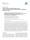 Ocular and Mucocutaneous Sequelae Among Survivors of Stevens-Johnson Syndrome and Toxic Epidermal Necrolysis in Togo