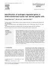 Identification of Androgen-Regulated Genes in SV40-Transformed Human Hair Dermal Papilla Cells