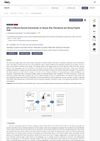 Effect of Marine-Derived Saccharides on Human Skin Fibroblasts and Dermal Papilla Cells