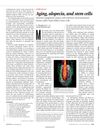 Aging, Alopecia, and Stem Cells