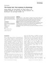 The Human Hair: From Anatomy to Physiology