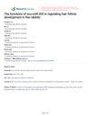 The Functions of Ocu-miR-205 in Regulating Hair Follicle Development in Rex Rabbits