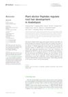 Plant Elicitor Peptides Regulate Root Hair Development in Arabidopsis