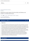 Delayed Post-Traumatic Alopecia of the Dorso-Lumbar Area Following a Road Accident in a Cat Without Pelvic Fracture