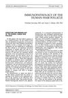 Immunopathology of the Human Hair Follicle