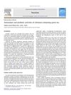 Antioxidant and Prebiotic Activities of Selenium-Containing Green Tea