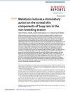 Melatonin Induces a Stimulatory Action on the Scrotal Skin Components of Soay Ram in the Non-Breeding Season