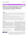 XMU-MP-1 Induces Growth Arrest in a Model Human Mini-Organ and Antagonizes Cell Cycle-Dependent Paclitaxel Cytotoxicity