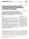 Transcriptomics Analysis Reveals Molecular Alterations Underpinning Spaceflight Dermatology