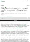 First Report of 'Candidatus Phytoplasma Aurantifolia' Associated with the Invasive Weed Eclipta Prostrata in Taiwan