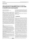 Overexpression of HE4/WFDC2 Gene in Mice Leads to Keratitis and Corneal Opacity