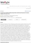 Thrombin-Preconditioned Mesenchymal Stem Cell-Derived Exosomes For Wound Healing In Vitro And In Vivo