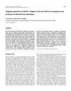 Targeted Expression of SV40 T Antigen in the Hair Follicle of Transgenic Mice Produces an Aberrant Hair Phenotype