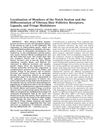 Localization of Members of the Notch System and the Differentiation of Vibrissa Hair Follicles: Receptors, Ligands, and Fringe Modulators