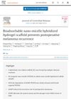 Bioabsorbable Nano-Micelle Hybridized Hydrogel Scaffold Prevents Postoperative Melanoma Recurrence