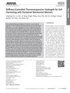 Stiffness-Controlled Thermoresponsive Hydrogels for Cell Harvesting with Sustained Mechanical Memory