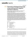 Estimation of Biological Heart Age Using Cardiovascular Magnetic Resonance Radiomics