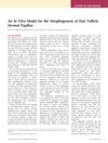 An In Vitro Model for the Morphogenesis of Hair Follicle Dermal Papillae