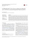 4-O-Methylhonokiol: A Lesser-Known Neolignan from Magnolia Species with Diverse and Promising Pharmacological Properties