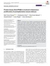 Protein Kinase Akt2/PKBβ Is Involved in Blastomere Proliferation of Preimplantation Mouse Embryos