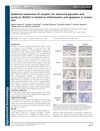 Epidermal Expression of Receptor for Advanced Glycation End Products (RAGE) Is Related to Inflammation and Apoptosis in Human Skin