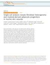 Single-Cell Analysis Reveals Fibroblast Heterogeneity and Myeloid-Derived Adipocyte Progenitors in Murine Skin Wounds
