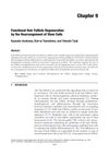 Functional Hair Follicle Regeneration by the Rearrangement of Stem Cells