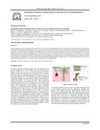 Determination of Permeation Pathway of Gentamicin into Pig's Ear Skin
