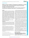 Effects of Chronic Inhibition of Testosterone Metabolism on Cardiac Remodeling After Ischemia/Reperfusion-Induced Myocardial Damage in Gonadectomized Rats
