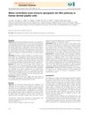 Malva Verticillata Seed Extracts Upregulate the Wnt Pathway in Human Dermal Papilla Cells