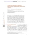 TGF-β Family Signaling in Epithelial Differentiation and Epithelial-Mesenchymal Transition