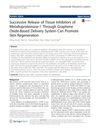 Successive Release of Tissue Inhibitors of Metalloproteinase-1 Through Graphene Oxide-Based Delivery System Can Promote Skin Regeneration
