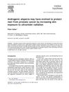 Androgenic Alopecia May Have Evolved to Protect Men from Prostate Cancer by Increasing Skin Exposure to Ultraviolet Radiation