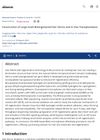 Construction of Large-Scale Bioengineered Hair Germs and In Vivo Transplantation