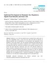 Epidermal Development in Mammals: Key Regulators, Signals from Beneath, and Stem Cells