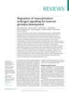 Regulation of Masculinization: Androgen Signaling for External Genitalia Development