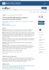 The Gut and Skin Microbiome in Alopecia: Associations and Interventions