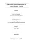 Downstream Molecular Responses to Volatile Signaling in Roots